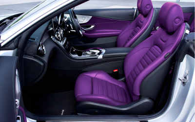 Car Accessory Dealers